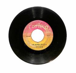 Aynur Gürkan - Esmer Bugün Ağlamış / Çok Verdi Felek Bu Derdi PLAK (10/7.5) PLK23790