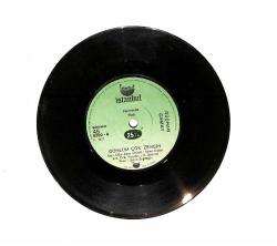 Rüçhan Çamay - Gönlüm Çok Zengin / Sorma Gitsin PLAK (10/7.5) PLK23805