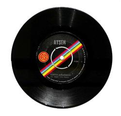 Ayşem - İçerim Arkadaşım / Bana Kendini Methetme PLAK (10/7.5) PLK23926