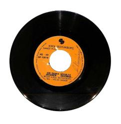 Erol Büyükburç - Berduş / Bir Başka Sevgiliyi Sevemem... Sevemem... PLAK (10/7) PLK23949