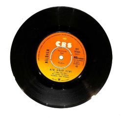 Nilüfer - Kim Arar Seni / Başka Sözüm Yok PLAK (10/8) PLK23958