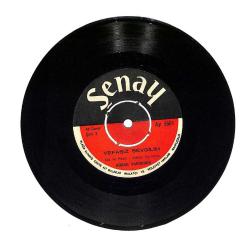 Adnan Varveren - Yüz Karası / Vefasız Sevgilim PLAK (10/7.5) PLK23967