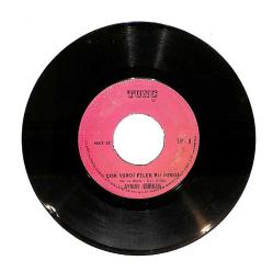 Aynur Gürkan - Esmer Bugün Ağlamış / Çok Verdi Felek Bu Derdi PLAK (10/7) PLK24005