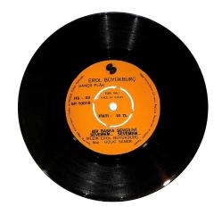 Erol Büyükburç - Berduş / Bir Başka Sevgiliyi Sevemem... Sevemem... PLAK (10/8.5) PLK24015
