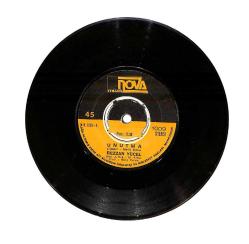 Rezzan Yücel - Unutma / Bir Roman Gibi PLAK (10/7.5) PLK24016