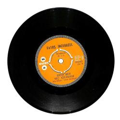 Fatoş İncegüzel - Sana Ben Hiç Kıyamam / Kara Yazı Mısın (10/6.5) PLK24412