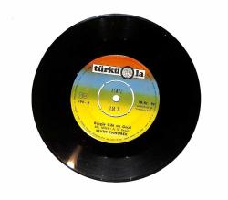 Sevim Tanürek - Rüzgar Gibi mi Geçti / Aşkımız Mabet Olsun PLAK (10/7.5) PLK24563