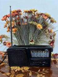 ELTA 10 Dalga Dünya Alıcı Radyosu Nostalji Antika Radyo RDY3