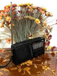 ELTA 10 Dalga Dünya Alıcı Radyosu Nostalji Antika Radyo RDY3