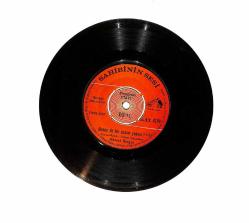 Ahmet Sezgin - Benim de Bir Canım Yokmu ? / Bir Görüşte Aşık Oldum PLAK (10/7.5) PLK24596