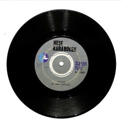 Neşe Karaböcek - Niyet / Hatıralar PLAK (10/7.5) PLK24704