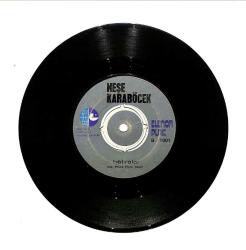 Neşe Karaböcek - Niyet / Hatıralar PLAK (10/7.5) PLK24704