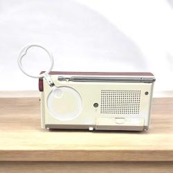 SONY ICF15 FM/AM Transitör Cep Radyosuo RDY56