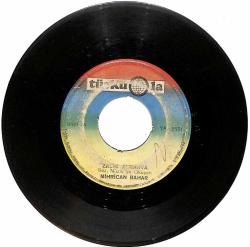 Mihrican Bahar - Zalim Almanya / Zeynebin Almanya'ya Mektubu PLAK (10/6) PLK24769