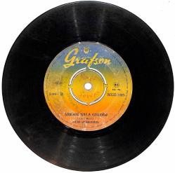 Nuri Sesigüzel - Sevdiğimi Alıp Beni Ağlattı / Arıdım Bala Geldim PLAK (10/5) PLK24814