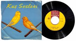 Kuş Sesleri - Kanarya Sesi PLAK (10/6.5) PLK24842