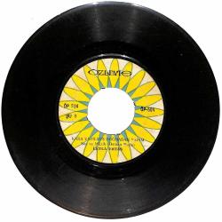 Leyla Ertaş - Yavrularım / Kara Yazılmış Doğmadan Yazım PLAK (10/5) PLK24905