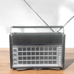 PHILIPS Dünya Radyosu Antika Nostalji RDY93