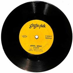 Gönül Şenay - Ayşem / Ben Gamlı Hazan Plak (10/6.5) PLK25322
