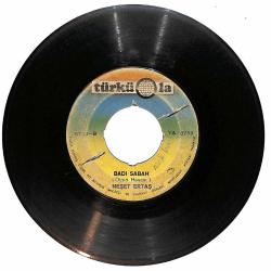 Neşet Ertaş - Bir Çift Turna Gördüm / Badı Sabah Plak (10/6) PLK25383