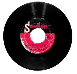 Dursun Salkım - Belki Yıllar Sonra / Bu Ne Biçim Aşk Böyle PLAK (10/7) PLK25877