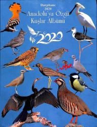 2020 – Anadolu’ya Özgü Kuşlar Serisi – Hatıra Para Kiti Boş Kit (KTL20) KTL20