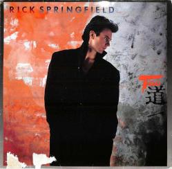 Rick Springfield - Tao (Almanya Baskı) LP PLAK (10/8.5) PLK25965