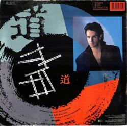 Rick Springfield - Tao (Almanya Baskı) LP PLAK (10/8.5) PLK25965