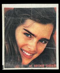 MİNTİ Sakız Kağıdı No 46 BROKIE SHEILD Stickers SKZ915