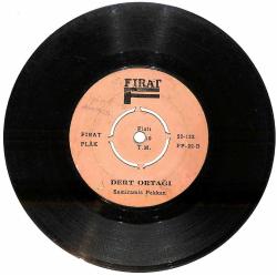 Semiramis Pekkan - Eskisi Gibi Değilim / Dert Ortağım PLAK (10/6.5) PLK26102