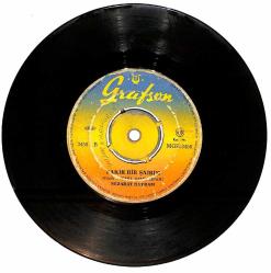 Nezahat Bayram - Çok Seviyorum / Fakir Bir Şairim Plak (10/6.5) PLK26134