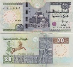 MISIR 20 POUND 2024 ÇİL.