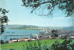 LOT.20 » Sinop - Umumi Görünüş / Keskin Color