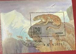 1985..VAHŞİ HAYVANLAR.LEOPAR..SSCB.RUSYA     BLOK.İGD DAMGALI