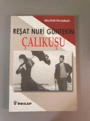 Çalıkuşu / Gençler İçin Özet