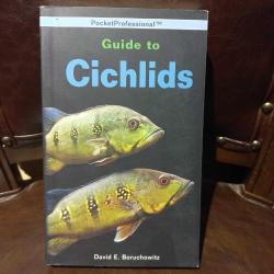 Guide To Cichlids