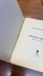 SENARYO TEKNİĞİ (Teorisi ve Pratiği)