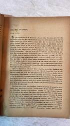TÜRK DİLİ, AYLIK DİL VE YAZIN DERGİSİ - 1 EKİM 1962 SAYI: 133  ATATÜRK: DİYOR Kİ - CEMAL GÜRSEL: DİL DEVRİMİNİN 30. YILDÖNÜMÜ DOLAYISIYLA - AGÂH SIRRI LEVEND: DİL DEVRİMİ VE DİL KURUMU - ÖMER ASIM AKSOY: HUKUK DİLİNDEKİ ÖZLEŞME - MEHMET ALİ AĞAKAY: ÖRNEKSEME ÜZERİNE - MEHMET TUĞRUL: DİLİMİZİN ARINMASI - NERMİ UYGUR: DİLDEKİ FELSEFE - TAHİR NEJAT GENÇAN: DİLİMİZİN ŞAŞMAZ DÜZENİ - A. DİLÂÇAR: DİL VE GERÇEK - CEVDET KUDRET: DİLLERİN GİZLİ DÜNYASI - HİKMET DİZDAROĞLU: TERİMLER ÜZERİNE - KONUR: DİL DEVRİMİMİZİN SON OTUZ YILI - NURULLAH ATAÇ: DİL BAYRAMI - FALİH RIFKI ATAY: SÖZLER - ENVER NACİ GÖKŞEN: DİL DEVRİMİ VE DİLİMİZİN ZENGİNLEŞTİRİLMESİ - MUZAFFER UYGUNER: DİL VE SAİT FAİK - JEAN WAHL: KONUŞAN VARLIK VE SÖZ - OTTO JESPERSEN: DİL ÜZERİNE - CAHİT ÖZTELLİ: TÜRKÇESİNİ DEYİVER ŞUNUN - ÖMER ASIM AKSOY: DÜŞÜNCELER, DÜZELTMELER - M. FAHRETTİN KIZIOĞLU: HALK EDEBİYATI DEYİMLERİMİZ VIII - NİJAT ÖZÖN: YENİ ÇIKMAZLAR - ŞİNASİ TEKİN: KİTAPLAR - GÜNEY ÇETİN: YENİ YAYINLAR - CEVKUD: GAZE-  60 SAYFA