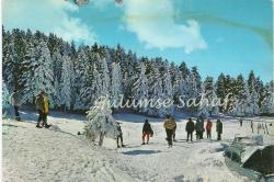 Bursa - Uludağ, Kış ve Ski / Keskin Color