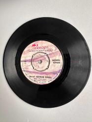 NESRİN SİPAHİ - HAYAT SEVİNCE GÜZEL, SON HIÇKIRIK NADİR PLAK