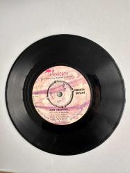 NESRİN SİPAHİ - HAYAT SEVİNCE GÜZEL, SON HIÇKIRIK NADİR PLAK