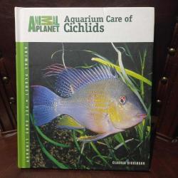 A Quarium Care Of Cichlids