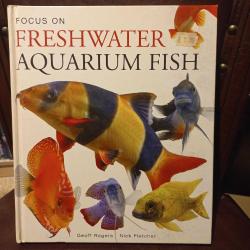 Focus On Freshwater Aquarium Fısh