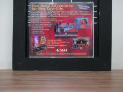 Larry's Casino PC Oyun