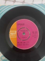 Yarasalar - Özlem / Ay Ay Ay 45'lik Nadir Plak