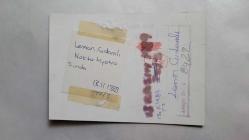 KAYNANALAR DİZİSİNİN NURİYE KANTAR'I LEMAN ÇIDAMLI'NIN ORİJİNAL FOTOĞRAFI - 13 x 9 cm EBADINDA - LEMAN ÇIDAMLI, NOKTA TİYATROSU'NDA TİYATROCU DOSTLARIYLA TOPLUCA POZ VERİRKEN ÇEKİLMİŞ BİR HATIRA FOTOĞRAFI, 13 KASIM 1989