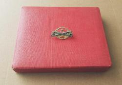 ESKİ - ASKERİ ÇİFT KILIÇLI KITA HİZMET BRÖVESİ - ROZET - MADALYA C4494