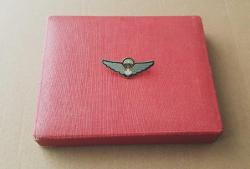 ESKİ - KANADA KRALİYET HAVA KUVVETLERİ ASKERİ PİLOT BRÖVESİ - ROZET - MADALYA C4526