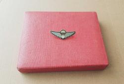 ESKİ - KANADA KRALİYET HAVA KUVVETLERİ ASKERİ PİLOT BRÖVESİ - ROZET - MADALYA C4526