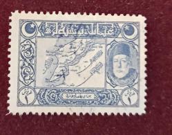LOT.2 » 1917 Viyana Baskısı Çanakkale görselli damgalı pul